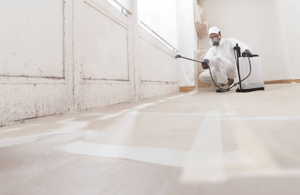 24/7 Emergency Mold Remediation experts in New Providence, NJ