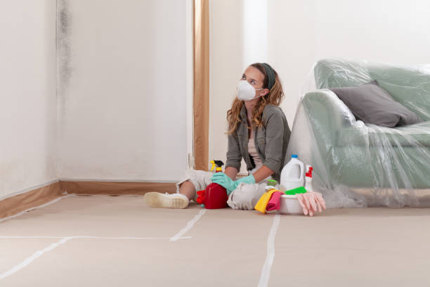 Reliable Mold Remediation contractor in New Providence, NJ by Car Mold Remediation